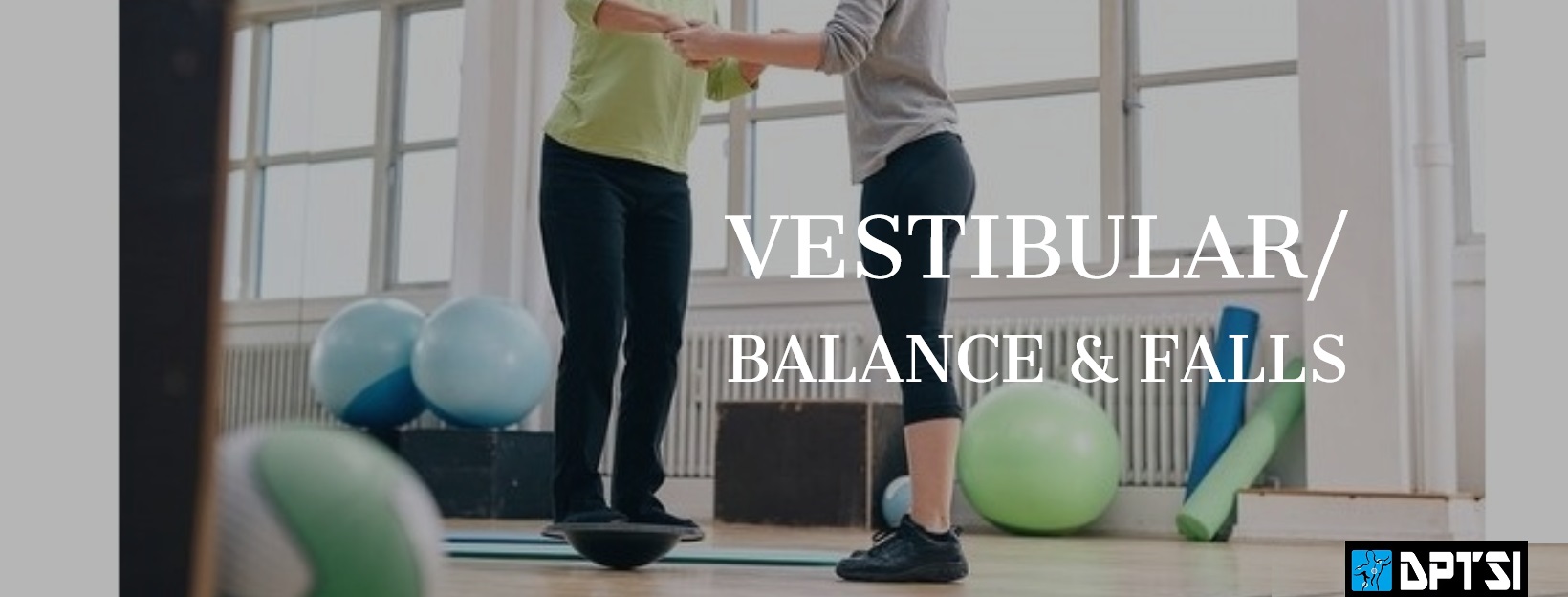 image-752126-VESTIBULAR__BALANCE__FALLS_Cover.w640.jpg